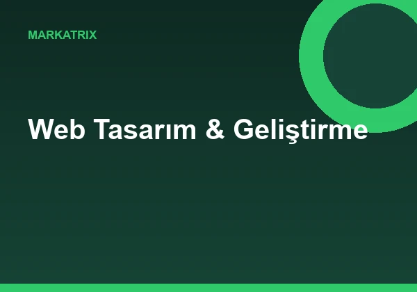 Web Tasarım & Geliştirme